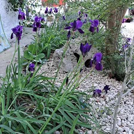 Alta Murgia Park Charming *